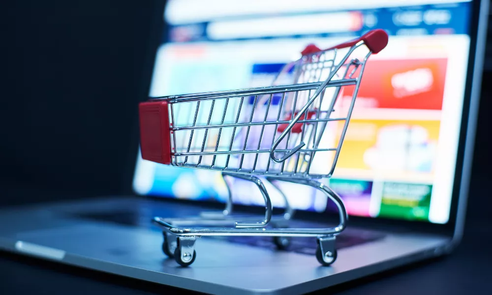 organic traffic to ecommerce store?