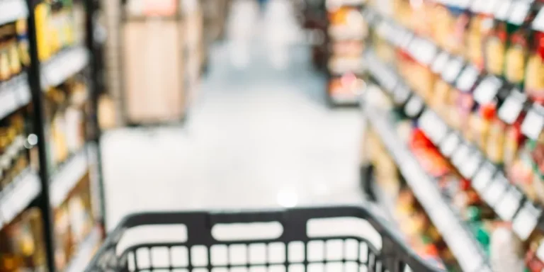 Future of voice commerce in ecommerce industry.