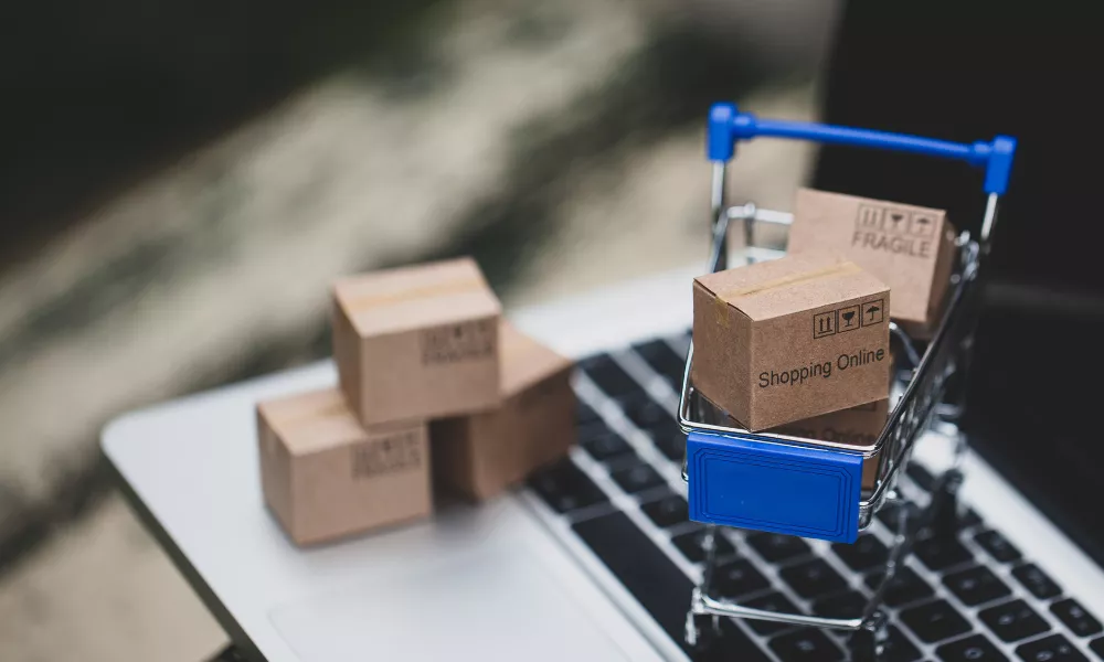 Ecommerce Business Ideas for Beginners