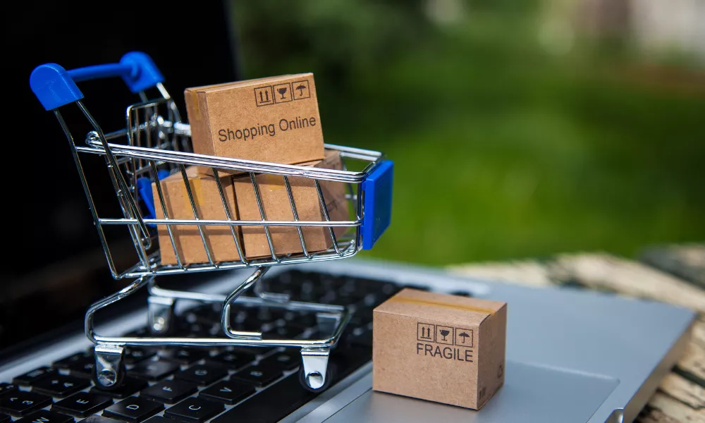 choose domain name for ecommerce