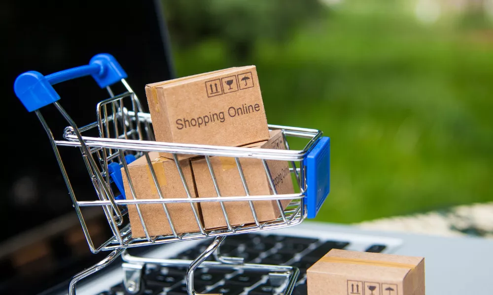 product descriptions