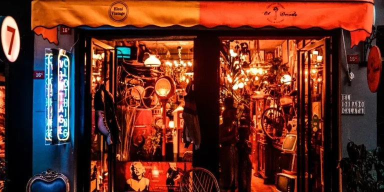 Portable Vacuum Cleaner For Car Interior Dust And Pet Hair