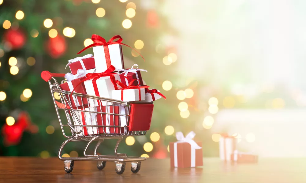 Best Stroller For Newborn Babies Living In Crowded City Areas With Traffic