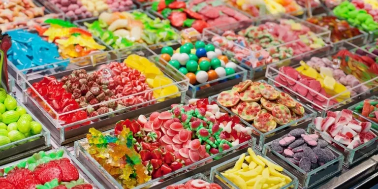 Best Waterproof Phone Case For Underwater Photography In Beach Vacations