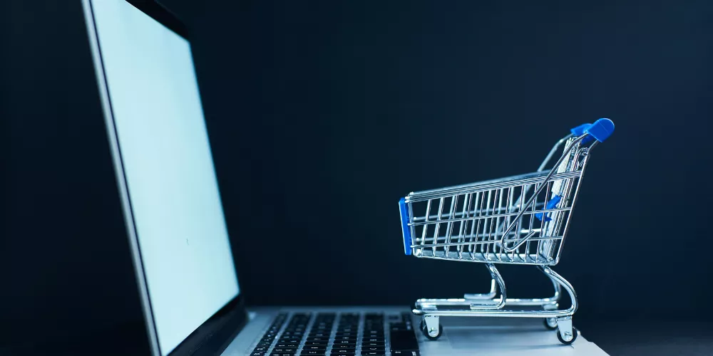 Durable School Backpack For Kids Carrying Many Books, Lunch Box, And Bottle