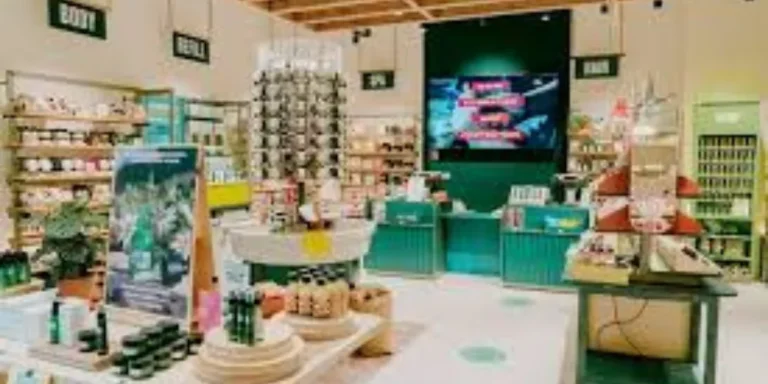 Portable Clothes Steamer For People Who Travel Frequently For Work