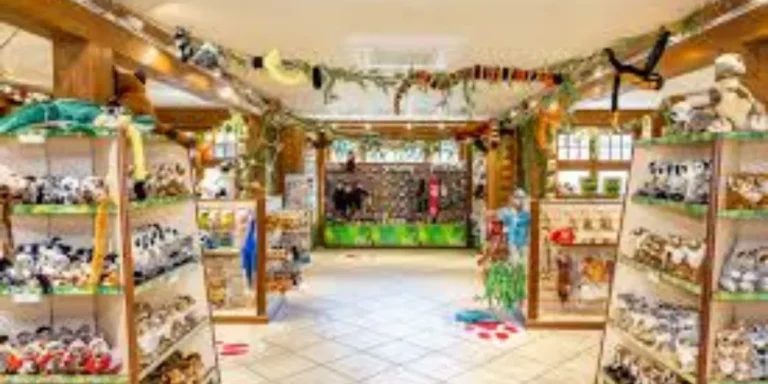 Eco Friendly Reusable Grocery Bags Foldable For Weekly Shopping Needs