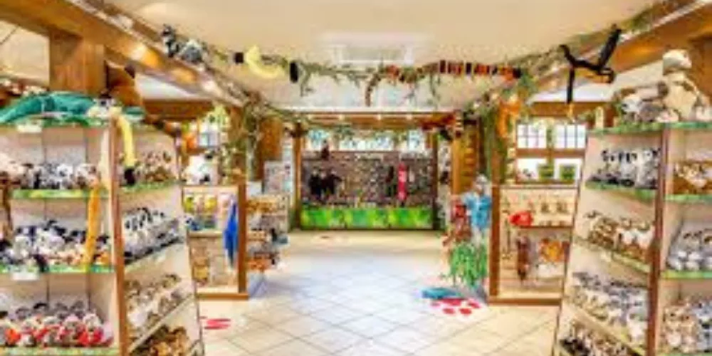 Eco Friendly Reusable Grocery Bags Foldable For Weekly Shopping Needs